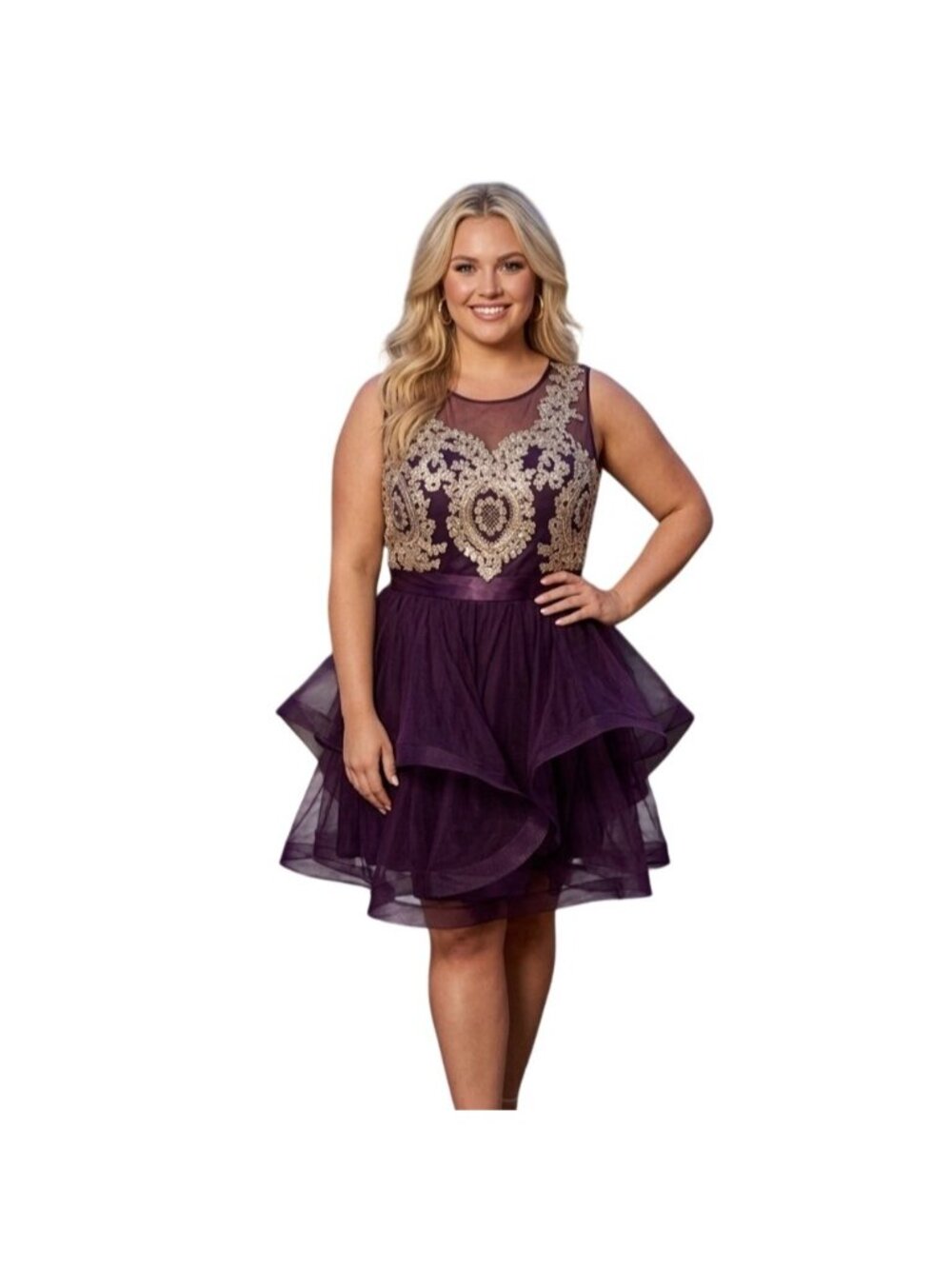Jodi Kristopher Burgundy Mesh Fit & Flare Dress 20/21 Gold Applique Glam Party
